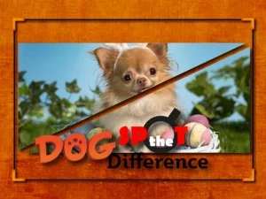 Câine Spot Diferența