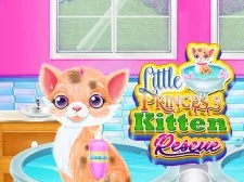 Micul prințesă Kitten Rescue